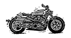 Harley-Davidson icon